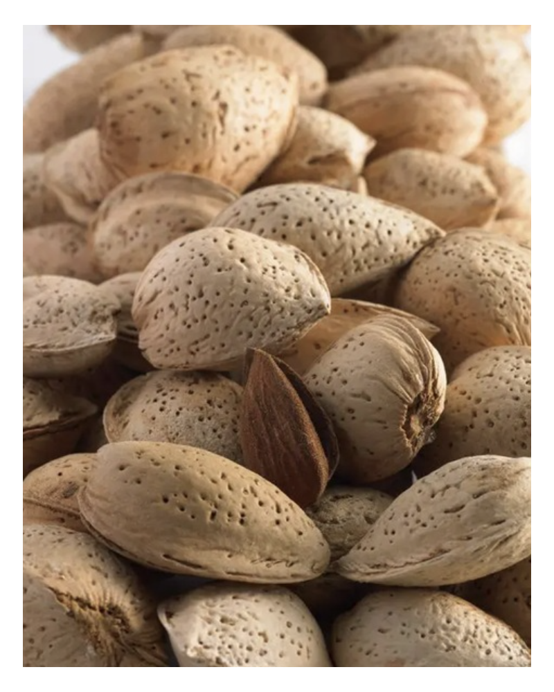 Ramillette almonds in shell 1kg